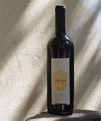 Barbera